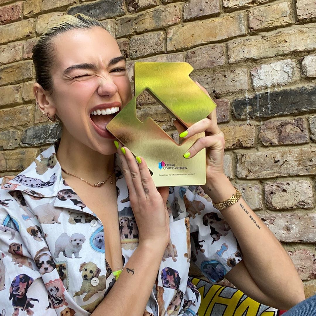 Dua Lipa: Our week in pictures: Evenings are for studio ghibli anime ...