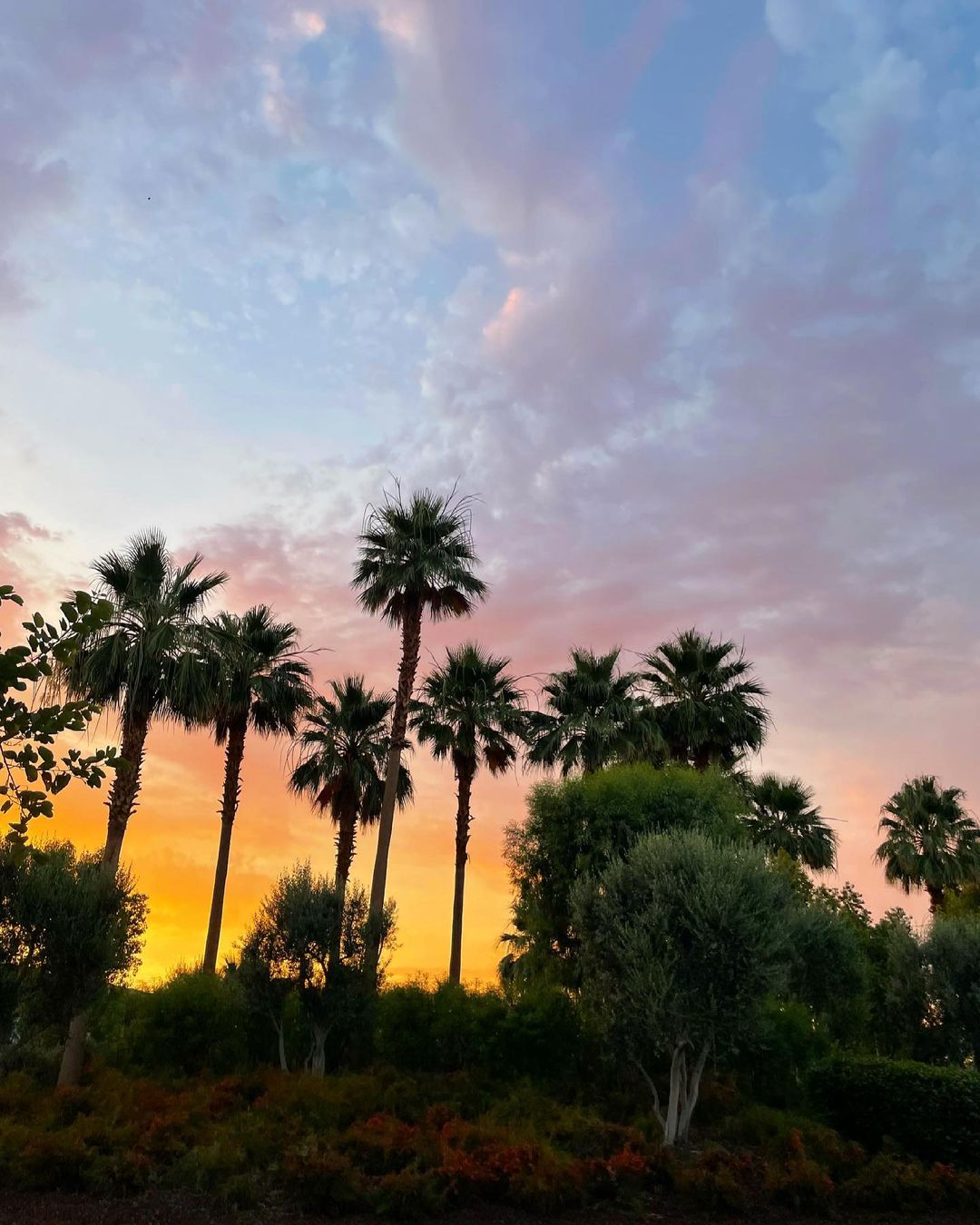 Jane daniels. Desert Sky.