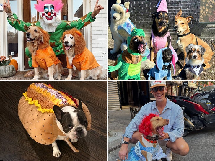 Celebrity Pets In Halloween Costumes