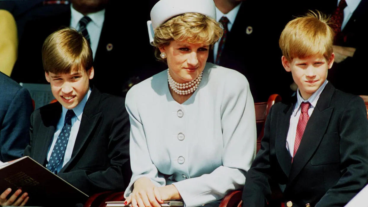 William and Harry with Princess Diana in 1995